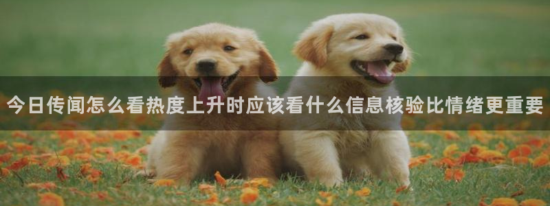 最新事件动态