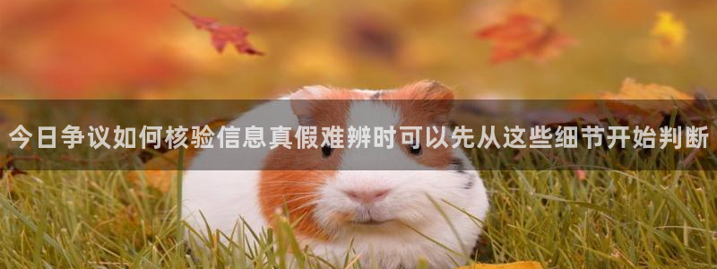黑料热点新闻