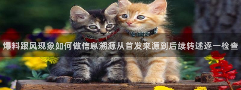 网络热点爆料