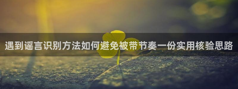 热门网络话题