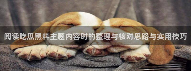 黑料爆料网