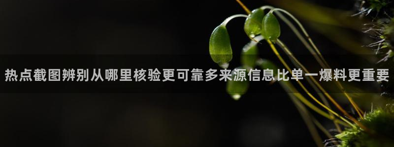 今日事件动态